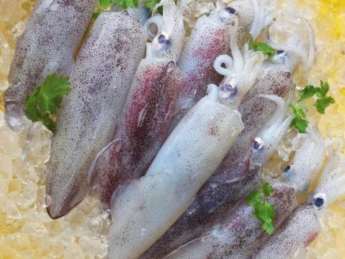 Cleaned calamari/squid-